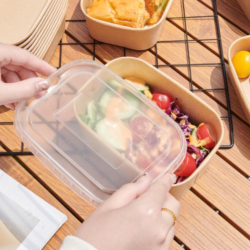 * 10PCS/Set Disposable Lunch B - Meal Prep Bowl 评论和价格